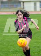 Photo from the gallery "Moody @ Elberta"