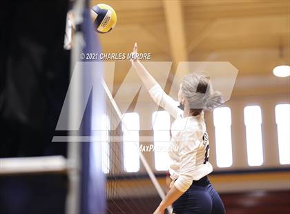 Thumbnail 2 in Douglas Byrd @ Cape Fear photogallery.