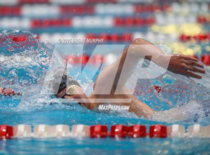 Thumbnail 3 in CHSAA 5A Swim Finals photogallery.