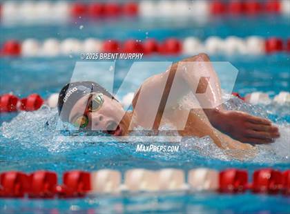 Thumbnail 1 in CHSAA 5A Swim Finals photogallery.