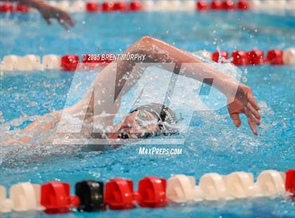 Thumbnail 2 in CHSAA 5A Swim Finals photogallery.