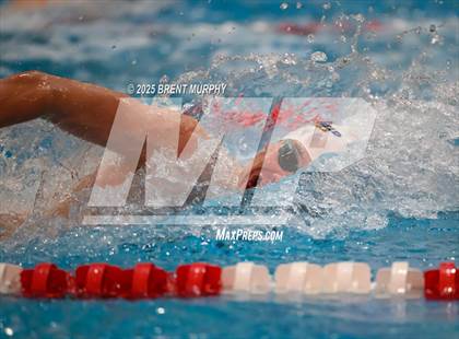 Thumbnail 2 in CHSAA 5A Swim Finals photogallery.