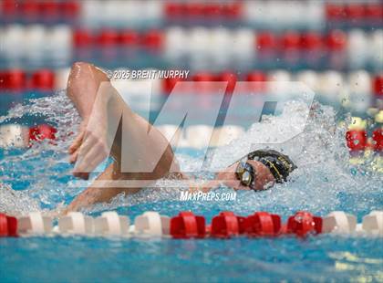 Thumbnail 1 in CHSAA 5A Swim Finals photogallery.