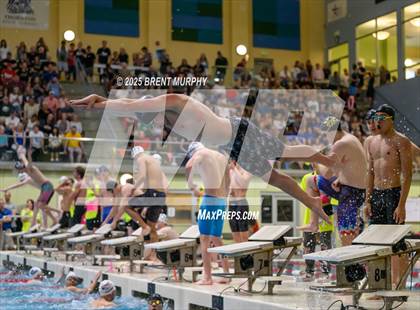 Thumbnail 2 in CHSAA 5A Swim Finals photogallery.