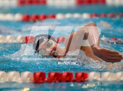 Thumbnail 3 in CHSAA 5A Swim Finals photogallery.