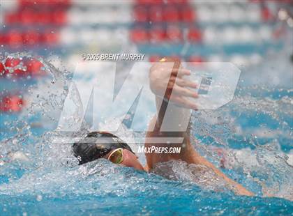 Thumbnail 3 in CHSAA 5A Swim Finals photogallery.