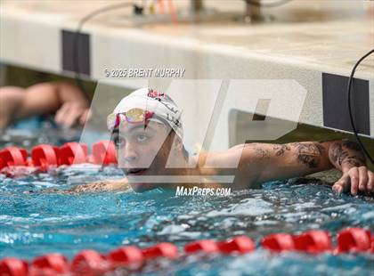 Thumbnail 1 in CHSAA 5A Swim Finals photogallery.