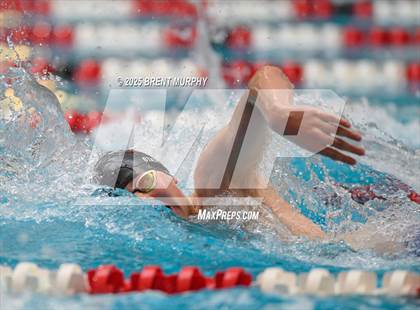 Thumbnail 3 in CHSAA 5A Swim Finals photogallery.