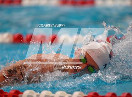 Thumbnail 3 in CHSAA 5A Swim Finals photogallery.