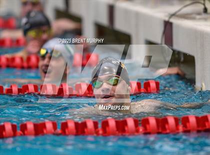 Thumbnail 1 in CHSAA 5A Swim Finals photogallery.