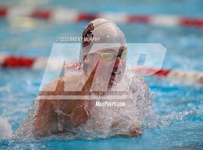 Thumbnail 1 in CHSAA 5A Swim Finals photogallery.