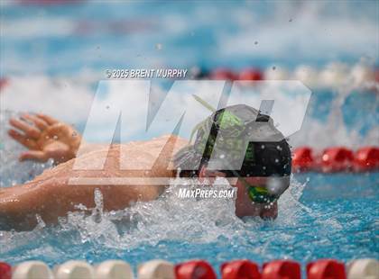 Thumbnail 2 in CHSAA 5A Swim Finals photogallery.