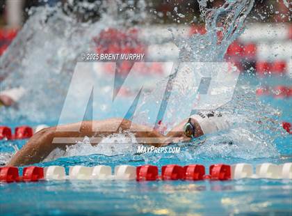 Thumbnail 1 in CHSAA 5A Swim Finals photogallery.