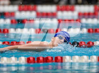 Thumbnail 1 in CHSAA 5A Swim Finals photogallery.