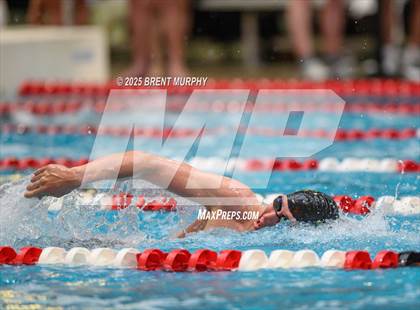 Thumbnail 2 in CHSAA 5A Swim Finals photogallery.