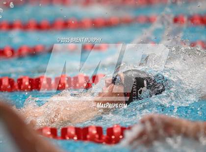 Thumbnail 3 in CHSAA 5A Swim Finals photogallery.