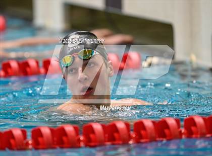 Thumbnail 2 in CHSAA 5A Swim Finals photogallery.