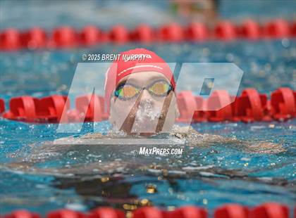 Thumbnail 2 in CHSAA 5A Swim Finals photogallery.