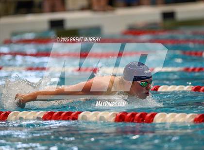 Thumbnail 2 in CHSAA 5A Swim Finals photogallery.