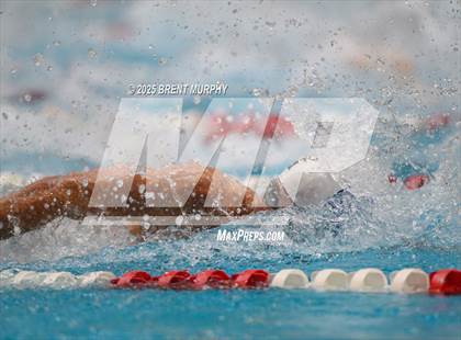 Thumbnail 2 in CHSAA 5A Swim Finals photogallery.