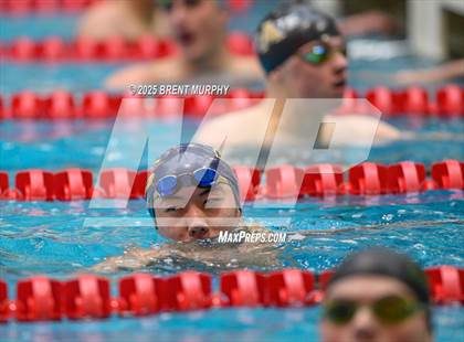 Thumbnail 3 in CHSAA 5A Swim Finals photogallery.