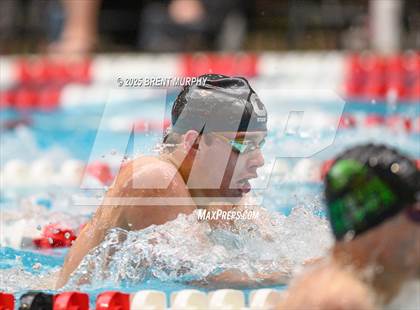 Thumbnail 1 in CHSAA 5A Swim Finals photogallery.