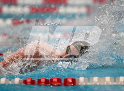 Thumbnail 3 in CHSAA 5A Swim Finals photogallery.