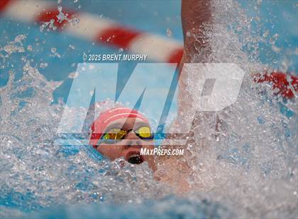 Thumbnail 2 in CHSAA 5A Swim Finals photogallery.