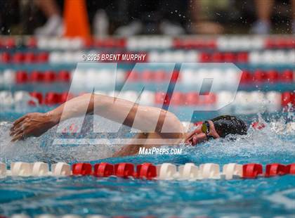 Thumbnail 1 in CHSAA 5A Swim Finals photogallery.