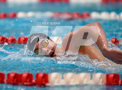 Thumbnail 1 in CHSAA 5A Swim Finals photogallery.