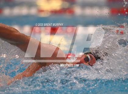 Thumbnail 1 in CHSAA 5A Swim Finals photogallery.