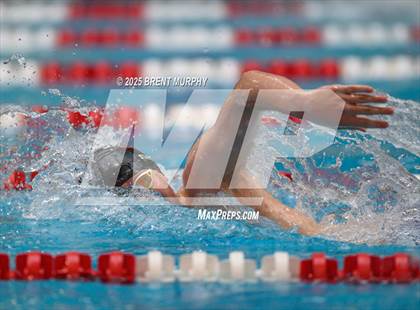 Thumbnail 2 in CHSAA 5A Swim Finals photogallery.