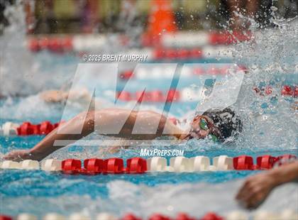 Thumbnail 3 in CHSAA 5A Swim Finals photogallery.