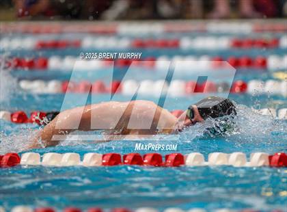 Thumbnail 3 in CHSAA 5A Swim Finals photogallery.