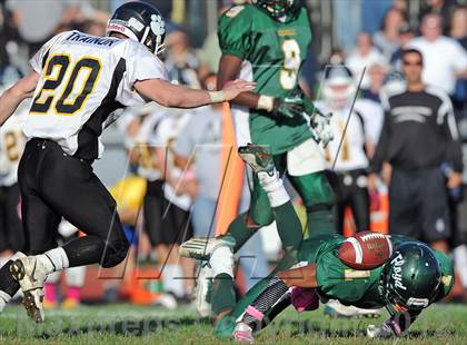 Thumbnail 2 in Northport @ William Floyd photogallery.