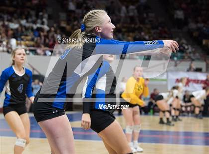 Thumbnail 1 in Rye vs. Lyons (CHSAA 2A First Round) photogallery.