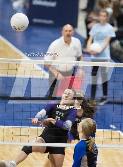 Thumbnail 1 in Rye vs. Lyons (CHSAA 2A First Round) photogallery.