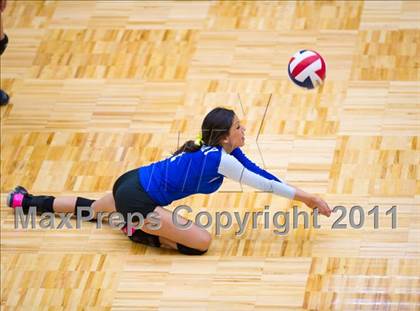Thumbnail 2 in Brandeis @ Jay photogallery.