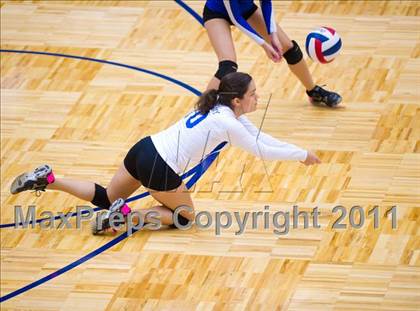 Thumbnail 1 in Brandeis @ Jay photogallery.