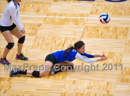 Thumbnail 1 in Brandeis @ Jay photogallery.
