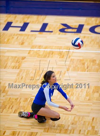 Thumbnail 1 in Brandeis @ Jay photogallery.
