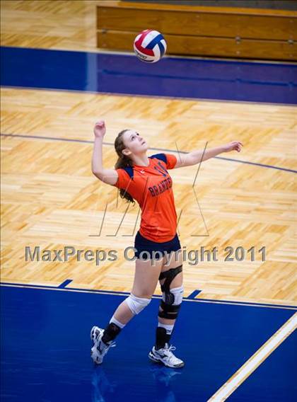 Thumbnail 3 in Brandeis @ Jay photogallery.