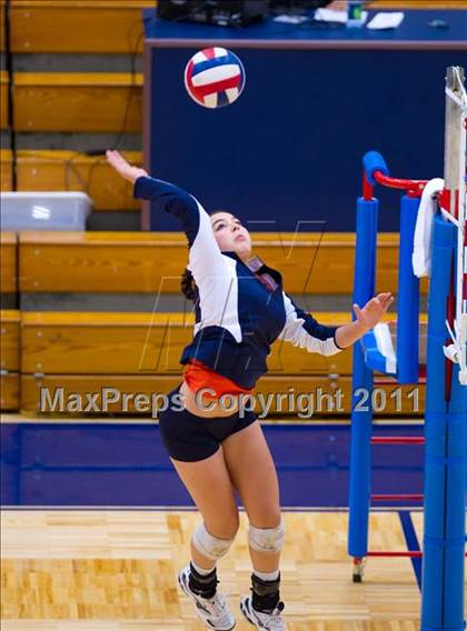 Thumbnail 1 in Brandeis @ Jay photogallery.