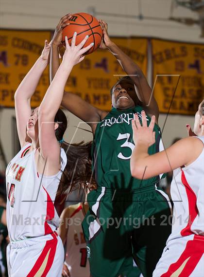 Thumbnail 1 in Sachem East vs Harborfields (Section XI Overall Finals) photogallery.