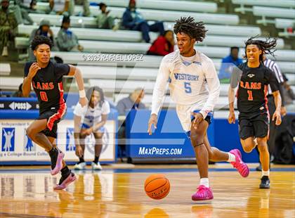 Thumbnail 3 in Waltrip @ Westbury photogallery.