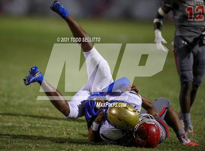 Thumbnail 3 in Osceola @ Manatee photogallery.