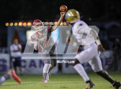 Thumbnail 1 in Osceola @ Manatee photogallery.