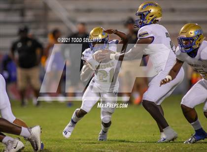 Thumbnail 3 in Osceola @ Manatee photogallery.