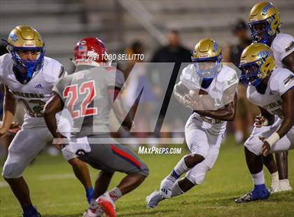 Thumbnail 1 in Osceola @ Manatee photogallery.