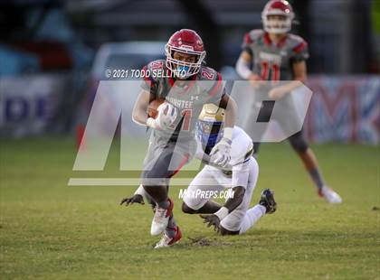 Thumbnail 3 in Osceola @ Manatee photogallery.